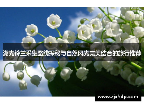 湖光铃兰采集路线探秘与自然风光完美结合的旅行推荐