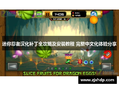 迷你忍者汉化补丁全攻略及安装教程 完整中文化体验分享